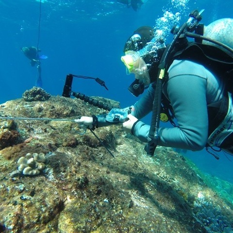 cndive-gallery-3