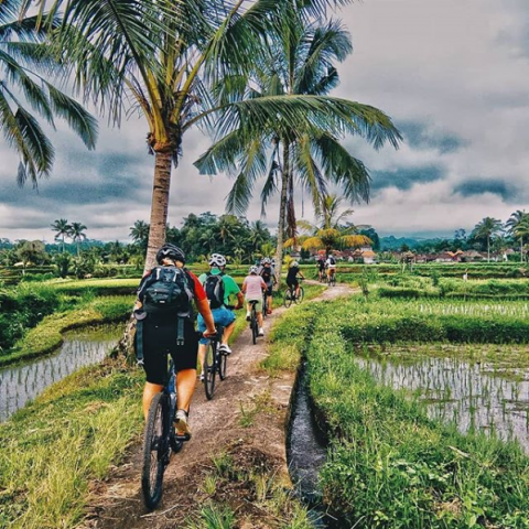 Screenshot_2019-09-27 Bali Tourist Services on Instagram “Explore the countryside on becycle And visit villages and great t[...]