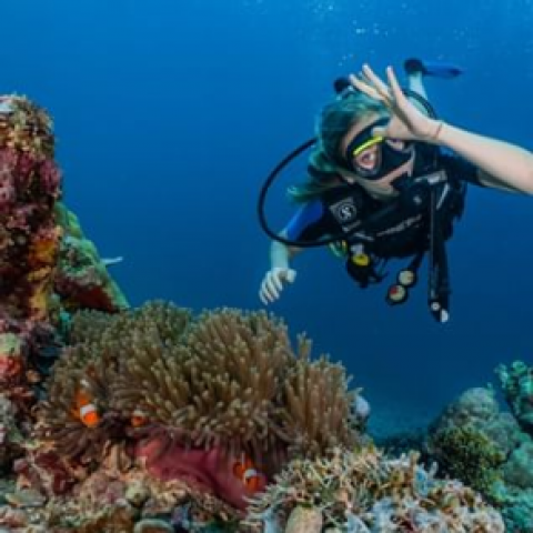 Scuba Diving Gili trawangan (2)