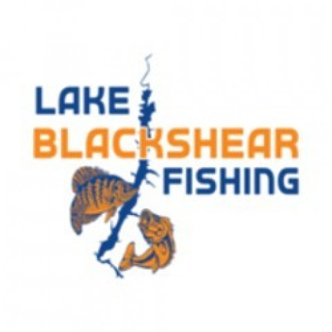 lakeblackshearfishing 250x250 Lake Blackshear Fishing