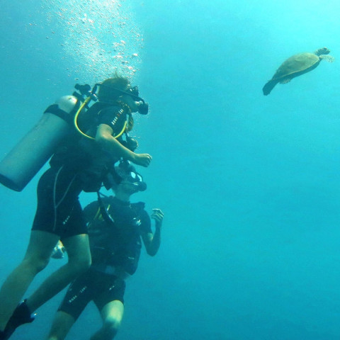 dreamdivers7